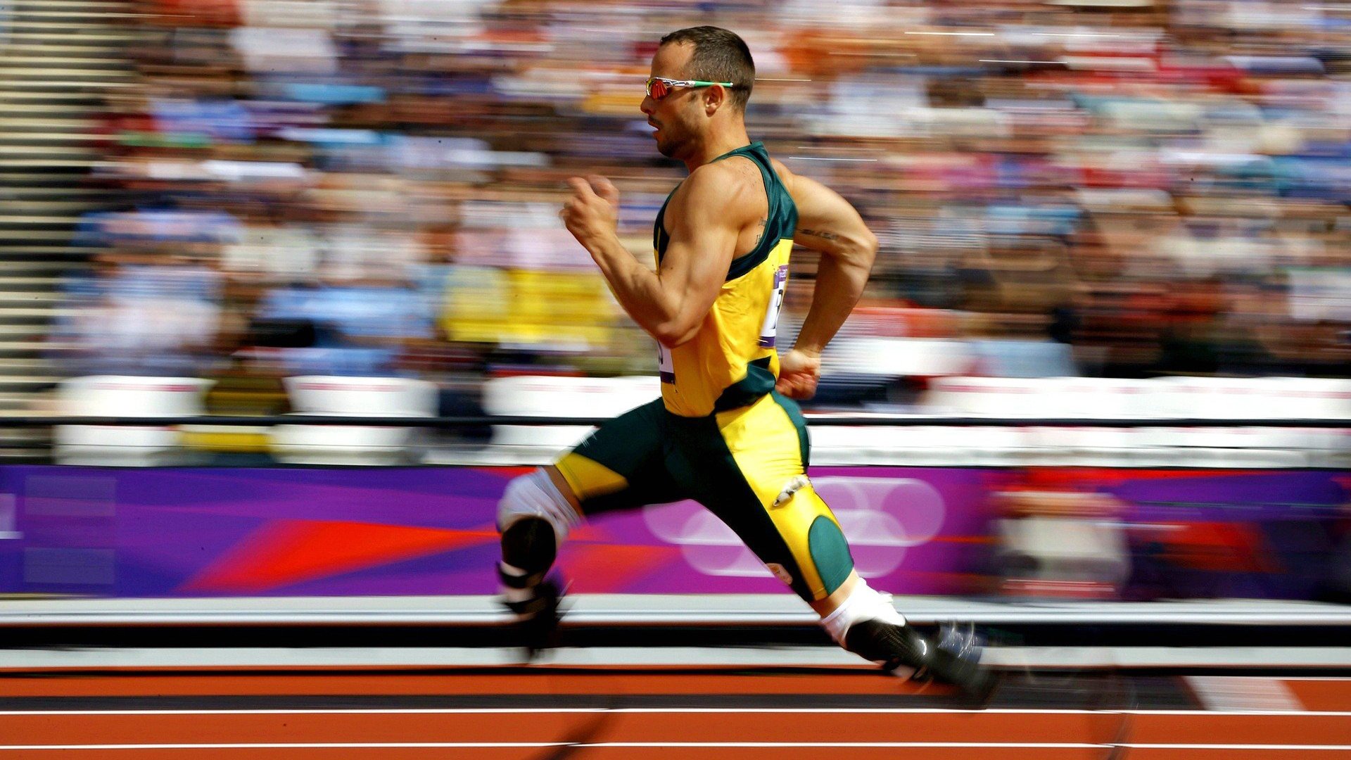 体育新闻中心发布多语种赛事报道方案,体育赛事报道范文英文