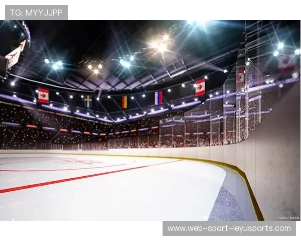 冰球练习场地升级，山东新兴聚乙烯板材助力冬季训练，冰球比赛用球材料