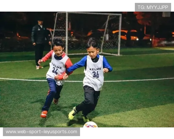 俱乐部推进球员全面能力评估 制定个性化发展计划，球员能力分布