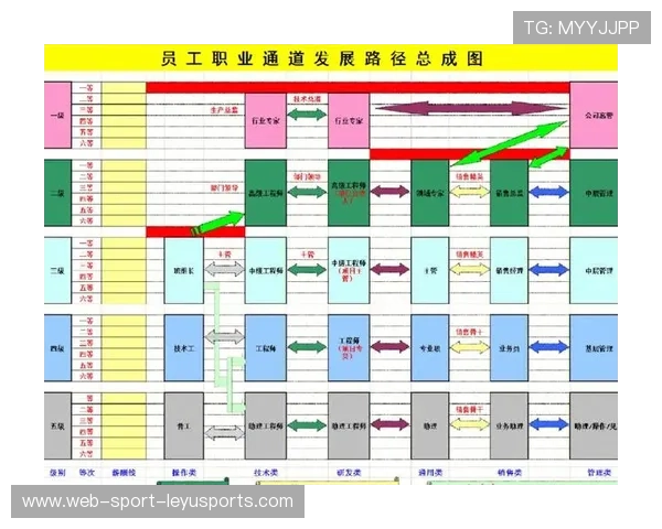 职业发展路径逐渐清晰